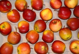 A lot of red apples on the white table