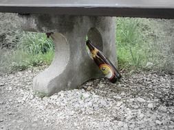 beer bottle under the bench