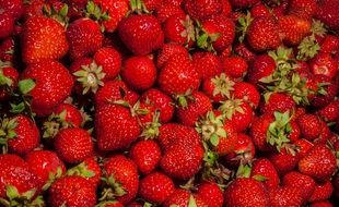 sweet red strawberries, background