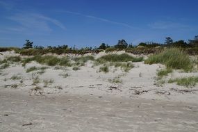 landscape of sand dune on the baltic sea