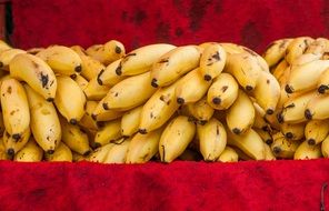 bananas on the market for sale