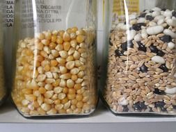 popcorn corn in a container