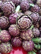 tasty and fresh artichokes