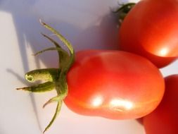 tomatoes on white background close-up