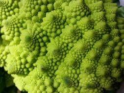 romanesco broccoli inflorescence, macro