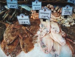 seafood market