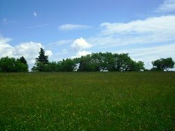 green meadow, rhon