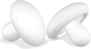 drawings of porcini mushrooms in computer graphics