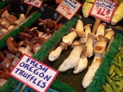 truffles at the farmers market