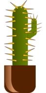 drawn cactus in a pot on a white background