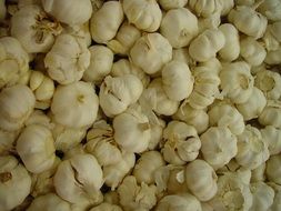 Picture of garlics
