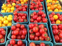 yellow and red tomatoes in boxes on the market