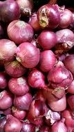 pile of red onions