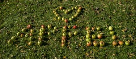 inscription of apples on a background of green grass