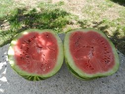 two halves of the watermelon outdoors