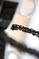 coffee beans on the blurred background