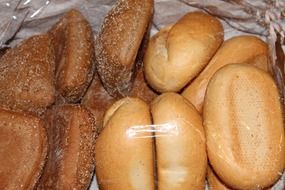 Basic light and wheat bread