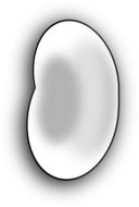 beans white drawing