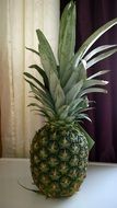 appetizing green pineapple fruit