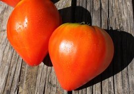 tomato in a form of beef heart