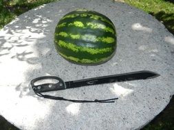 watermelon and dagger on the table