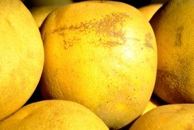 Yellow healthy juicy grapefruits