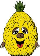 pineapple tropical fruit drawing