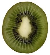 clipart of the green slice of kiwi