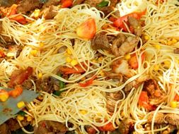 Spaghetti pasta with the meat and vegetables on the plate