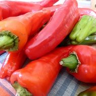 pods of paprika on the table