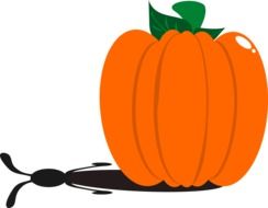 Pumpkin and rabbit shadow clipart