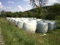 Packed vegetables and fruits in the white silage bags