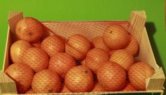 packed tangerines