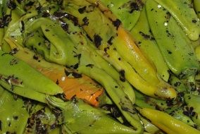 green chilies spices