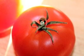 Red ripe tomatoes in light