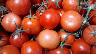 red tomatoes