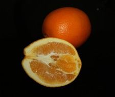 citrus orange fruit on the dark background