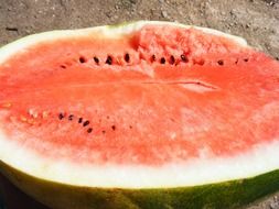 Half a watermelon with seeds