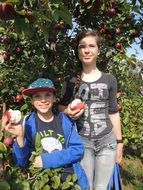 children eat apples in the garden on a sunny day