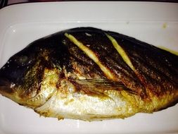 fried sea fish on plate close-up