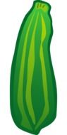isolated green zucchini