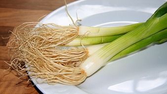 spring onion.