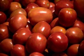 Fresh Red tomatoes