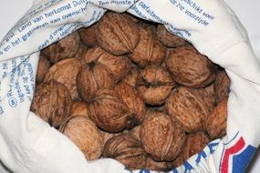 walnuts in their shells in a bag