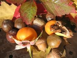 autumn fruits as decoration