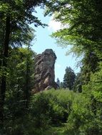 esselstyn Palatinate