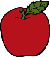 fresh red apple, drawing