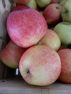 Apples in a wooden box