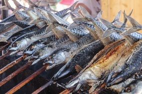 grilled fishes gerauschert