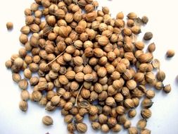 Coriander fruits on a white surface